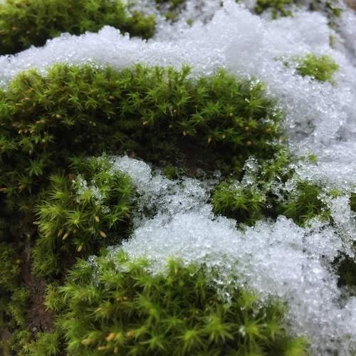 Photo #11276128