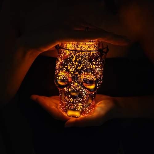 Photo #11276649