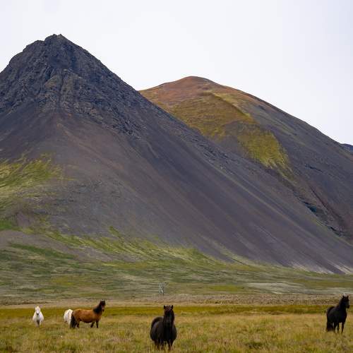 Photo #11276714