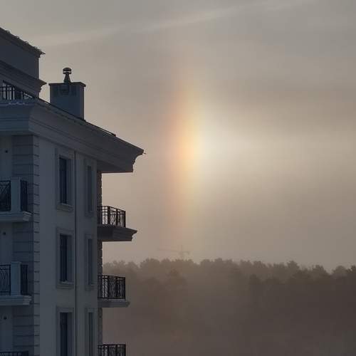Photo #11276844