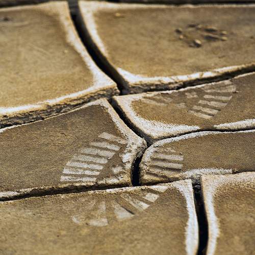 Фотография #11276887