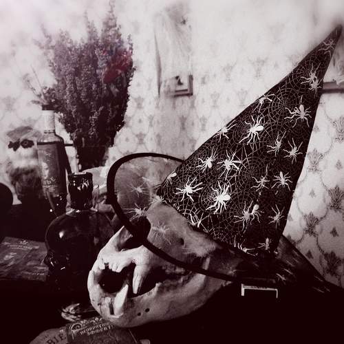 Photo #11277154