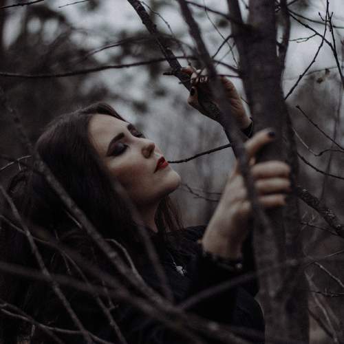 Photo #11277408