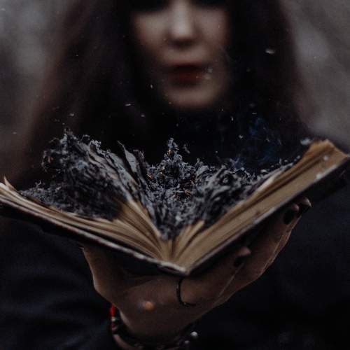 Photo #11277410