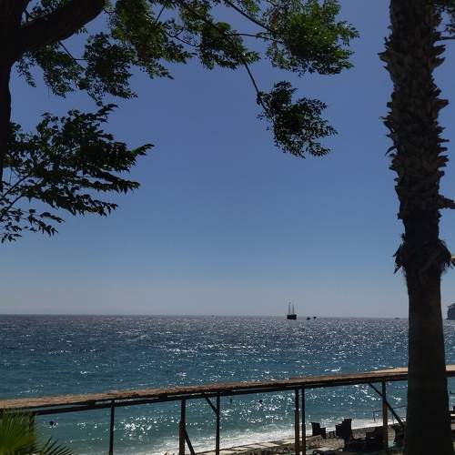 Photo #11277667