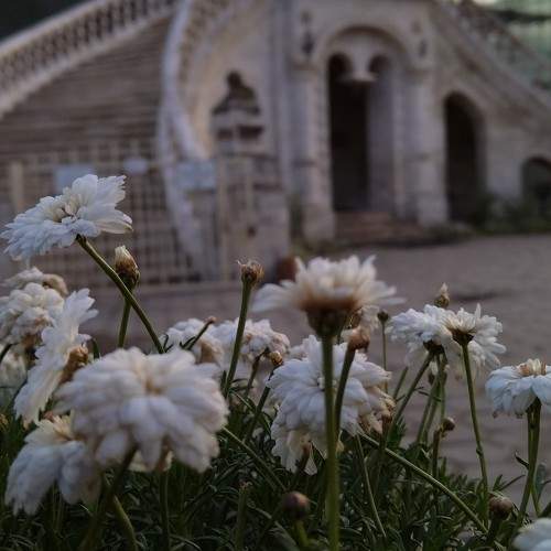Photo #11277745