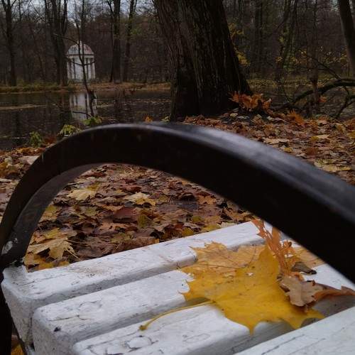 Photo #11277746