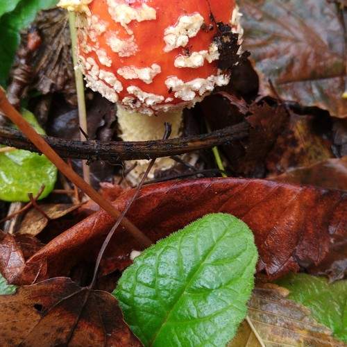 Photo #11277803