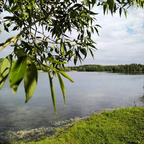 Photo #11277881