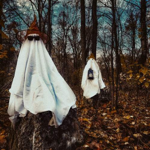 Photo #11277951