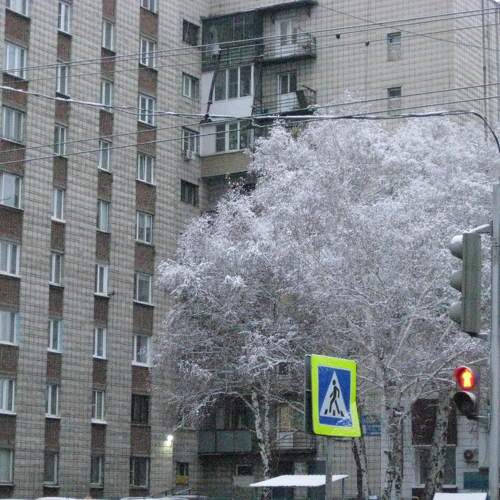 Photo #11278425