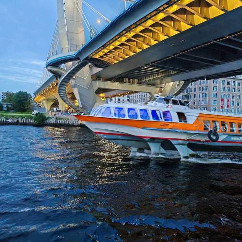 Photo #11278584