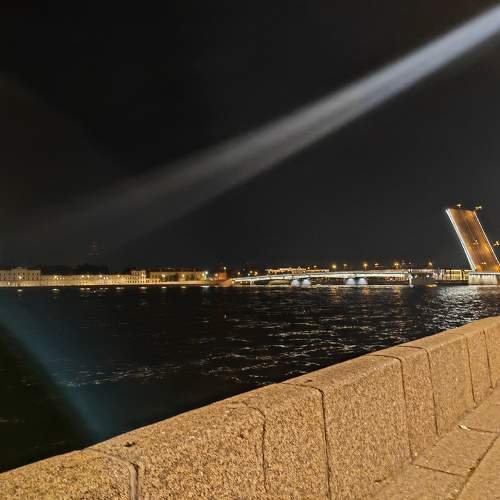 Photo #11278586