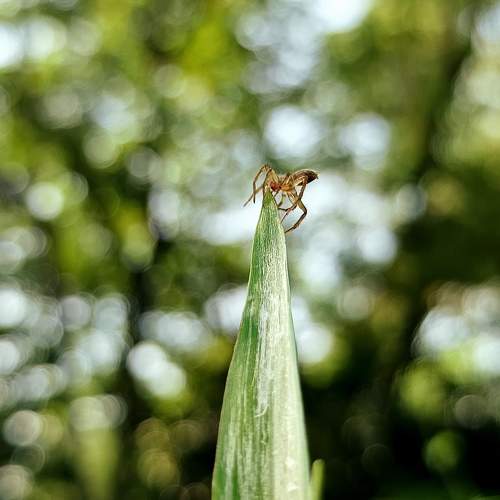Photo #11278627