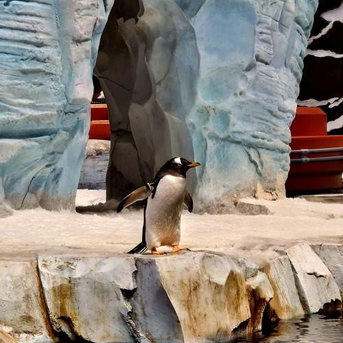 Photo #11278796