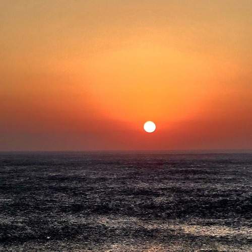 Photo #11278832