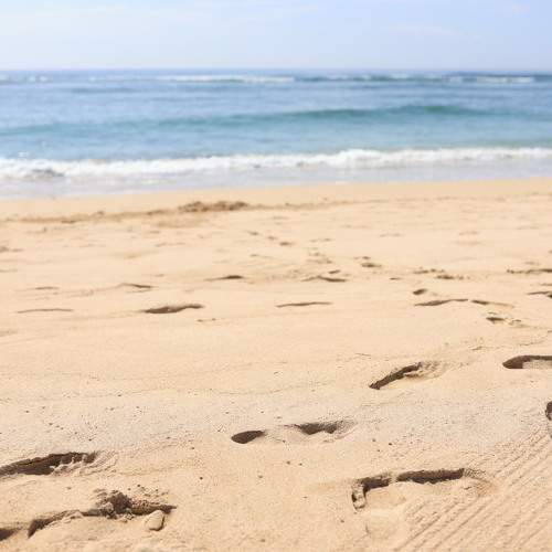 Photo #11278844
