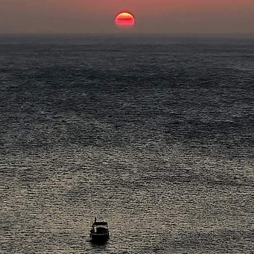 Photo #11278868