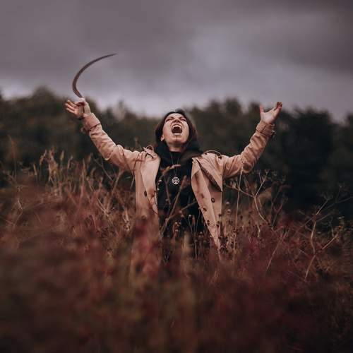 Photo #11279006