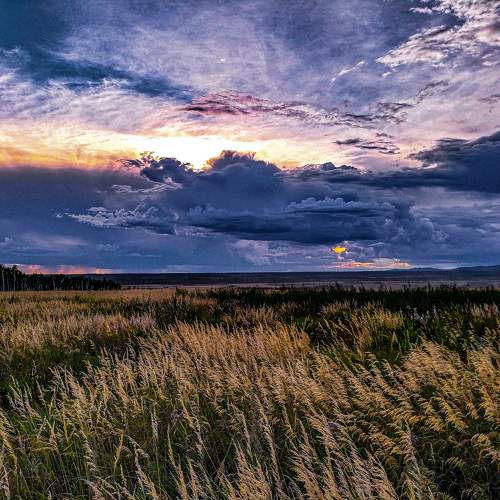 Photo #11279254