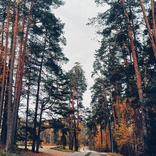 Photo #11279543