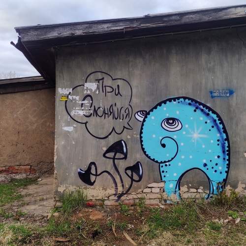 Photo #11279552