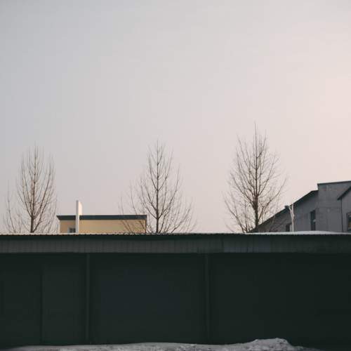 Photo #11279641