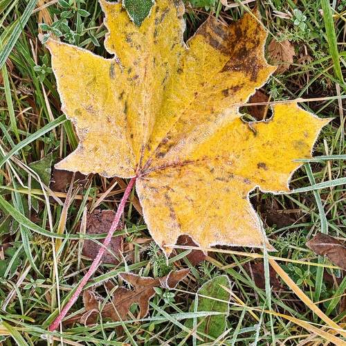 Photo #11279642