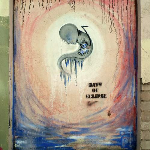 Photo #11279854
