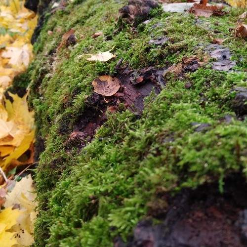 Photo #11279857