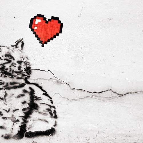 Photo #11280249