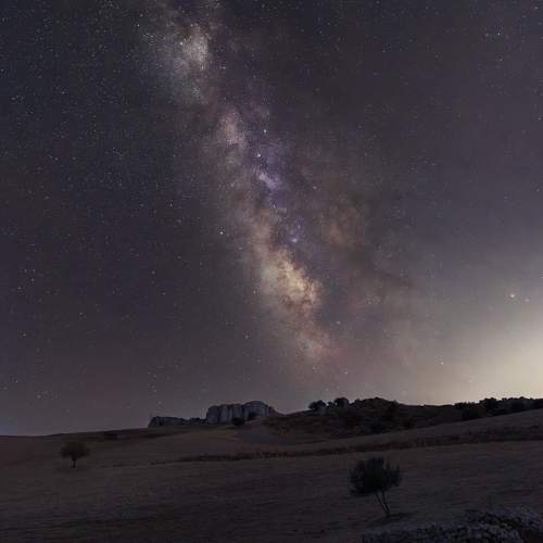Photo #11280406