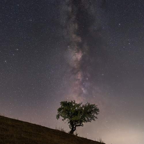Photo #11280407