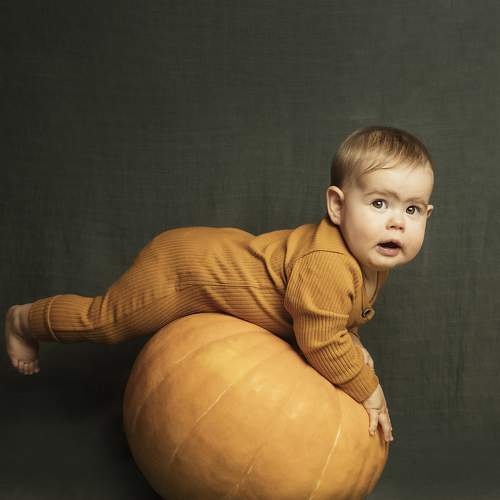 Photo #11280678
