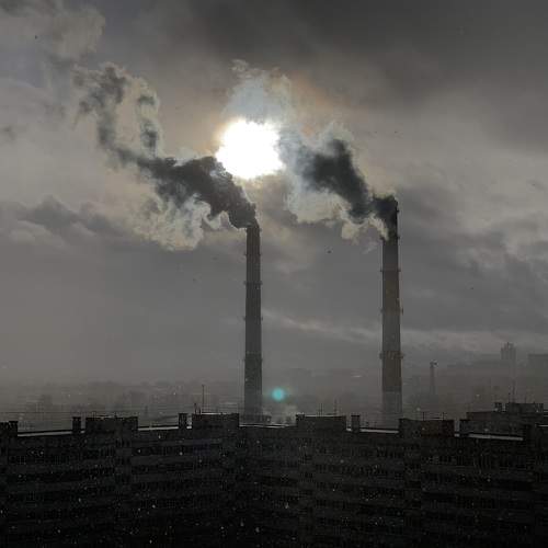 Photo #11280807