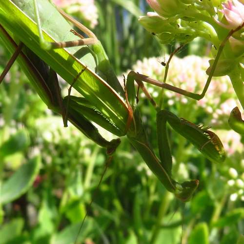 Photo #11280848