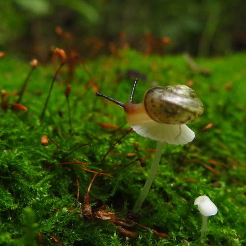 Photo #11280898