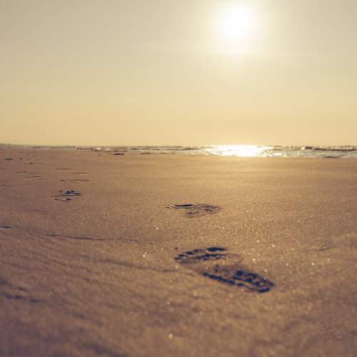 Photo #11280971