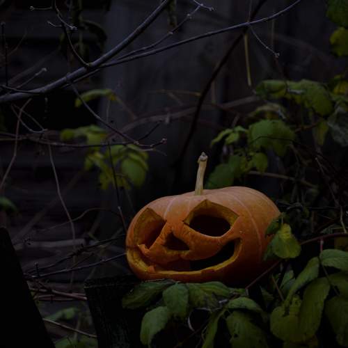 Jack-o'-lantern