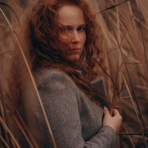 Photo #11281233