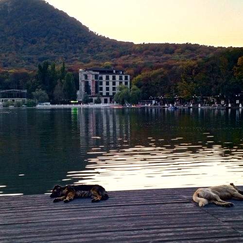 Photo #11281287