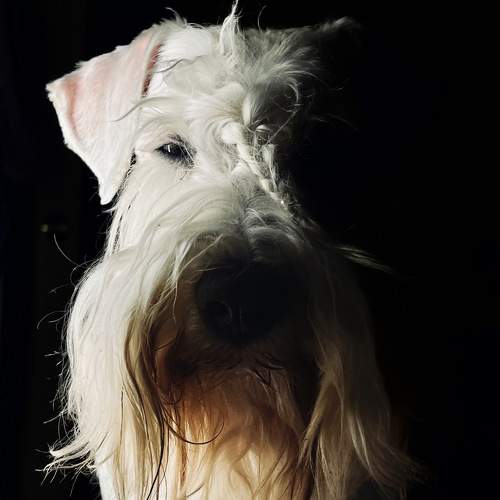 Photo #11281737