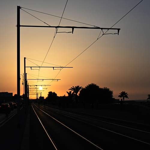 Photo #11281785