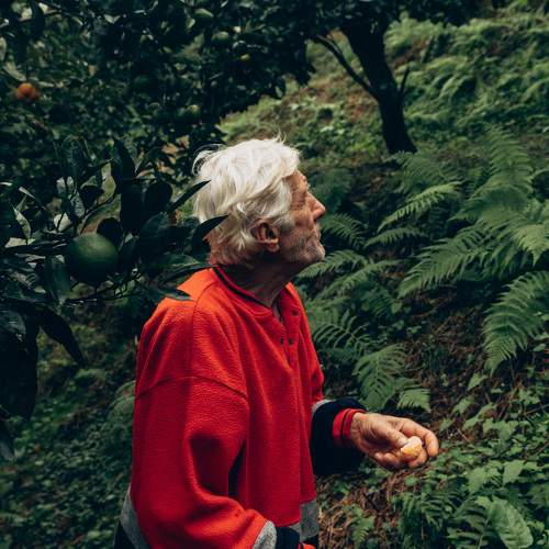 Photo #11281838