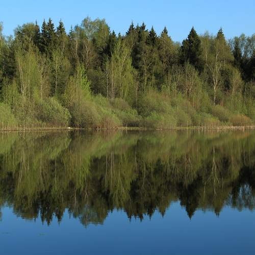 Photo #11281896