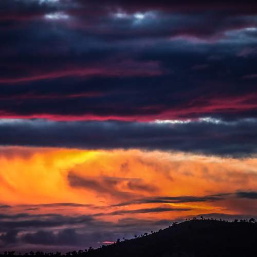 Photo #11281898