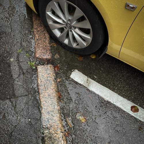 Photo #11282002