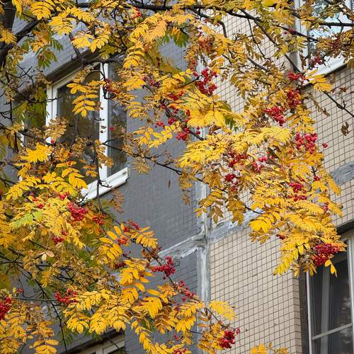 Photo #11282019