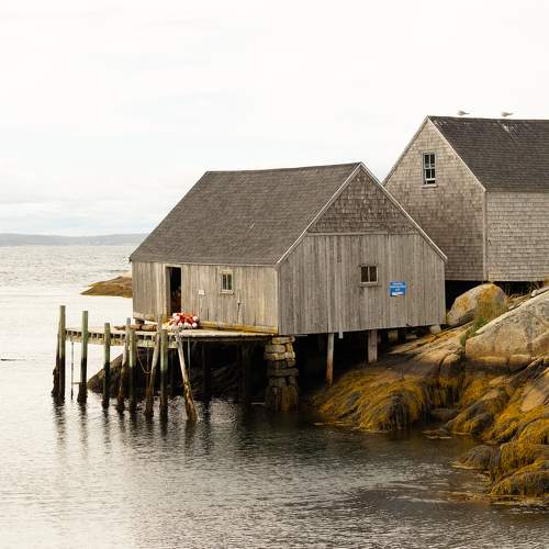 Photo #11282348