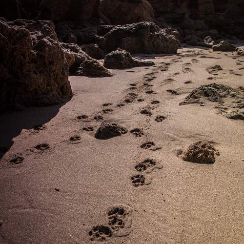 Photo #11282352